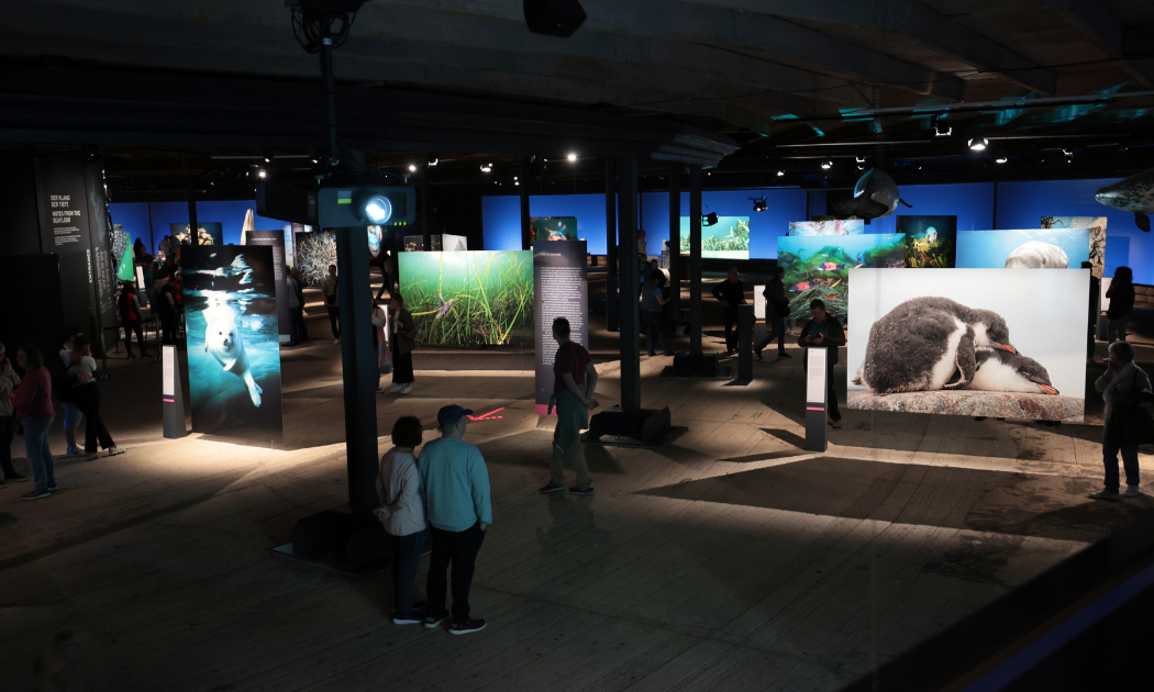 Ausstellung „Planet Ozean&#34; © Dirk Böttger, Gasometer Oberhausen GmbH